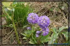 comp_DSC03119.webp