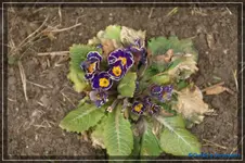 comp_DSC03122.webp