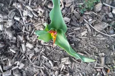 SAM_0488.webp