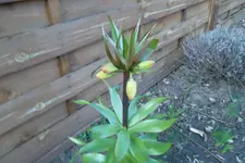 SAM_0490.webp