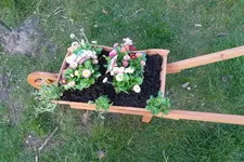 SAM_0493.webp