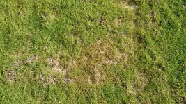 04_DSC_1077.webp
