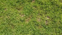 05_DSC_1076.webp