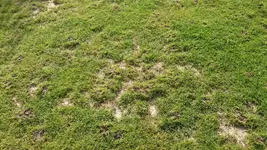 06_DSC_1080.webp