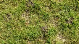 01_DSC_1078.webp