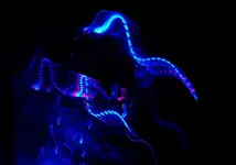 blue (55).webp