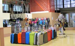 IMG_7622v.webp