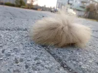 P1310856.webp