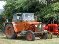 A & P Show 2007 (33)v.webp