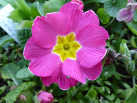 P1310624.webp