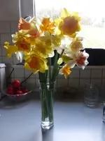 P1310234.webp