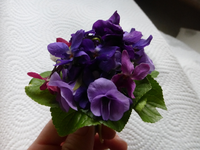 P1310230.webp