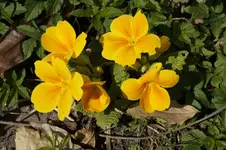 _DSC7906.webp