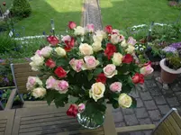 IMG_0002_1.webp