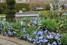 IMG_9306.webp