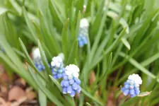 IMG_9327.webp