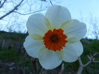 P1300694.webp