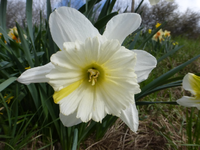 P1300860.webp