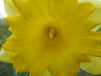 P1310288.webp