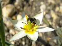 DSCN7461.webp