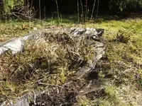BILD3833.webp