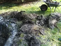 BILD3835.webp
