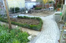 DSCF2644.webp