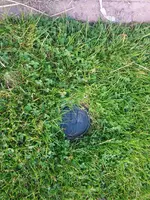 IMG_20150409_191929.webp