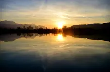 63.webp