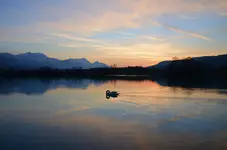 66.webp