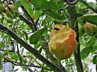 IMG_8297v.webp