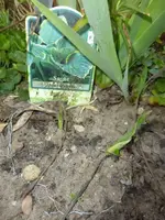 P1320027.webp