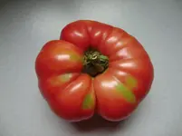 CIMG9809.webp