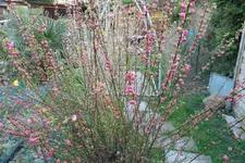 SAM_0504.webp