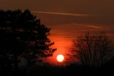 DSCN3839.webp