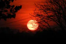 DSCN3848.webp