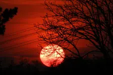 DSCN3856.webp