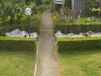 DSCN1110.webp