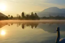 25.webp
