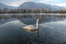 hdr11.webp