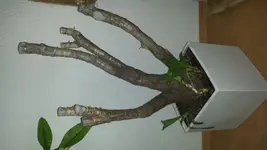 20150411_171002.webp