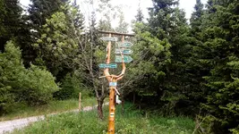 01.webp