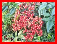 020.webp