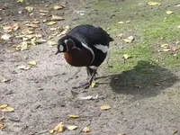 Bild 1179.webp