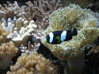 IMG_3680.jpg