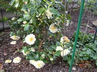 IMG_4276.webp