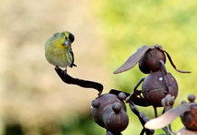 wer bist du denn_who are you then_700.webp