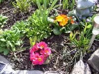100_1675.webp