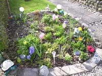 100_1677.webp