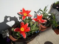SDC12414.webp